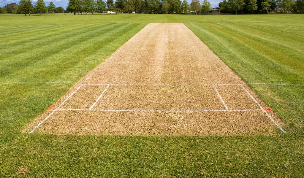 Cricket Court Turf